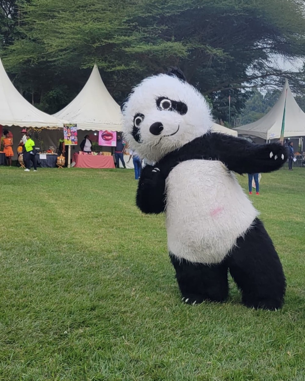 Black And White Panda