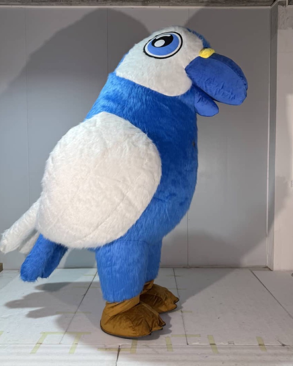 Blue Bird