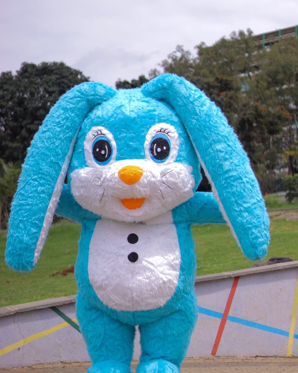 Blue Bunny