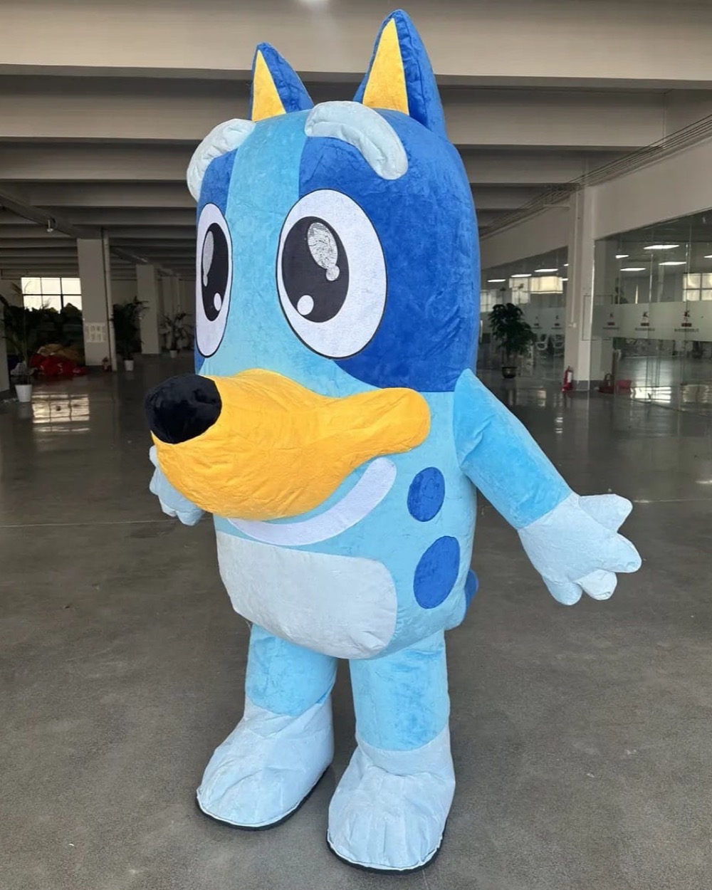 Bluey