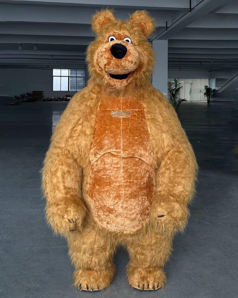 Brown Bear