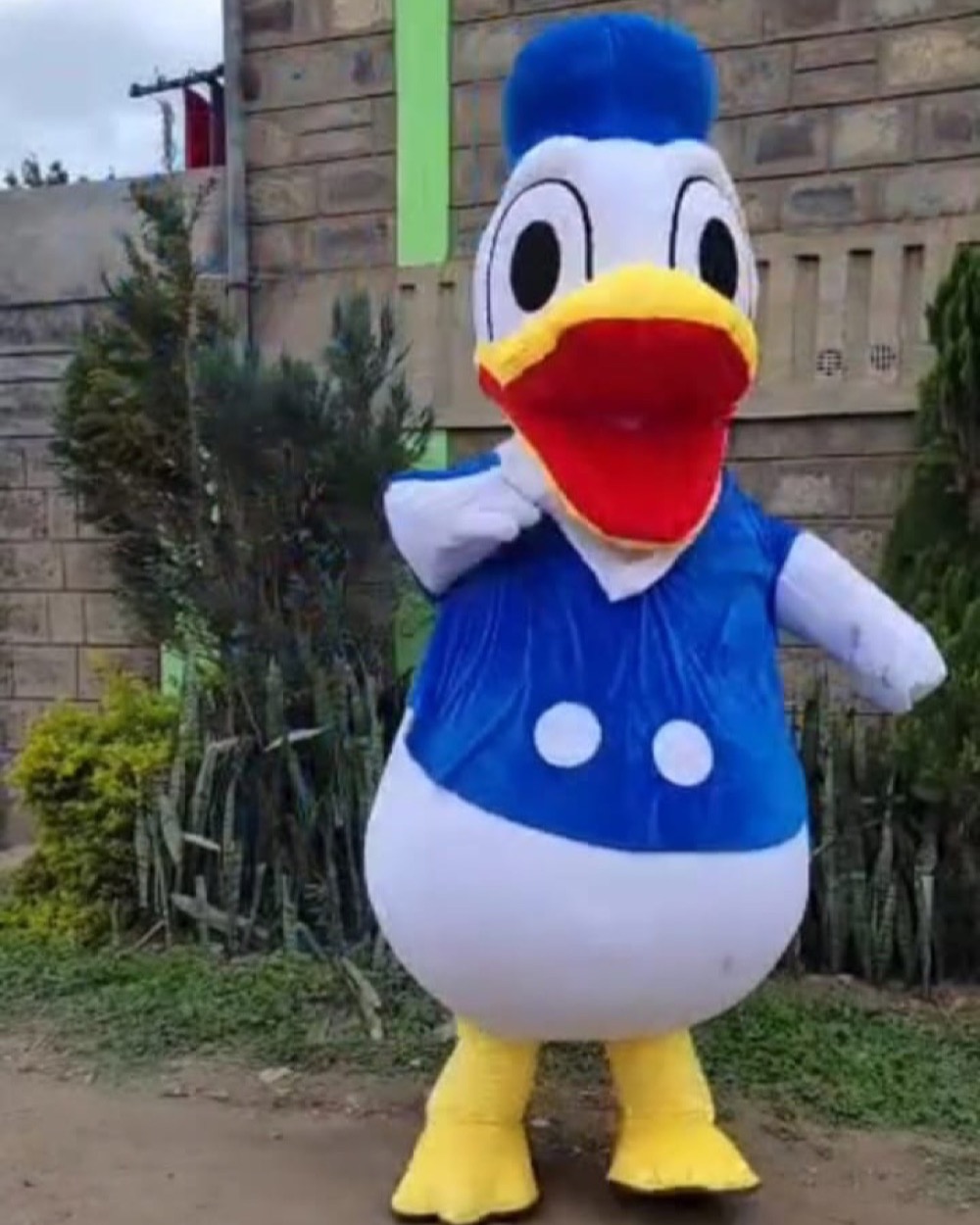 Donald Duck