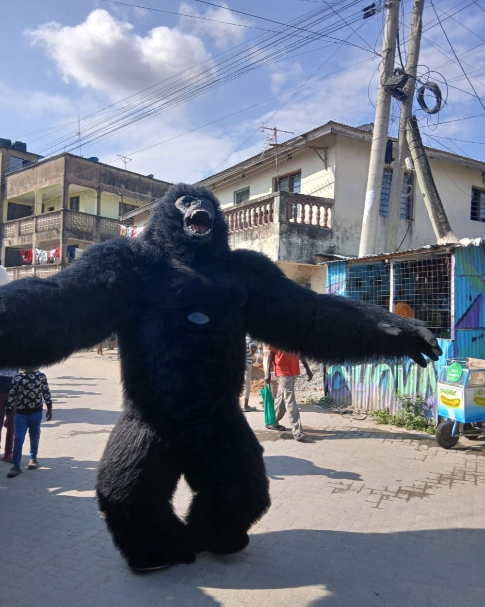 Gorilla