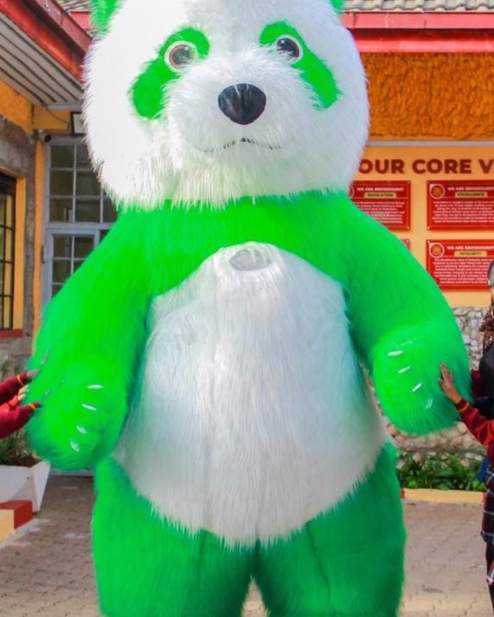 Green Panda
