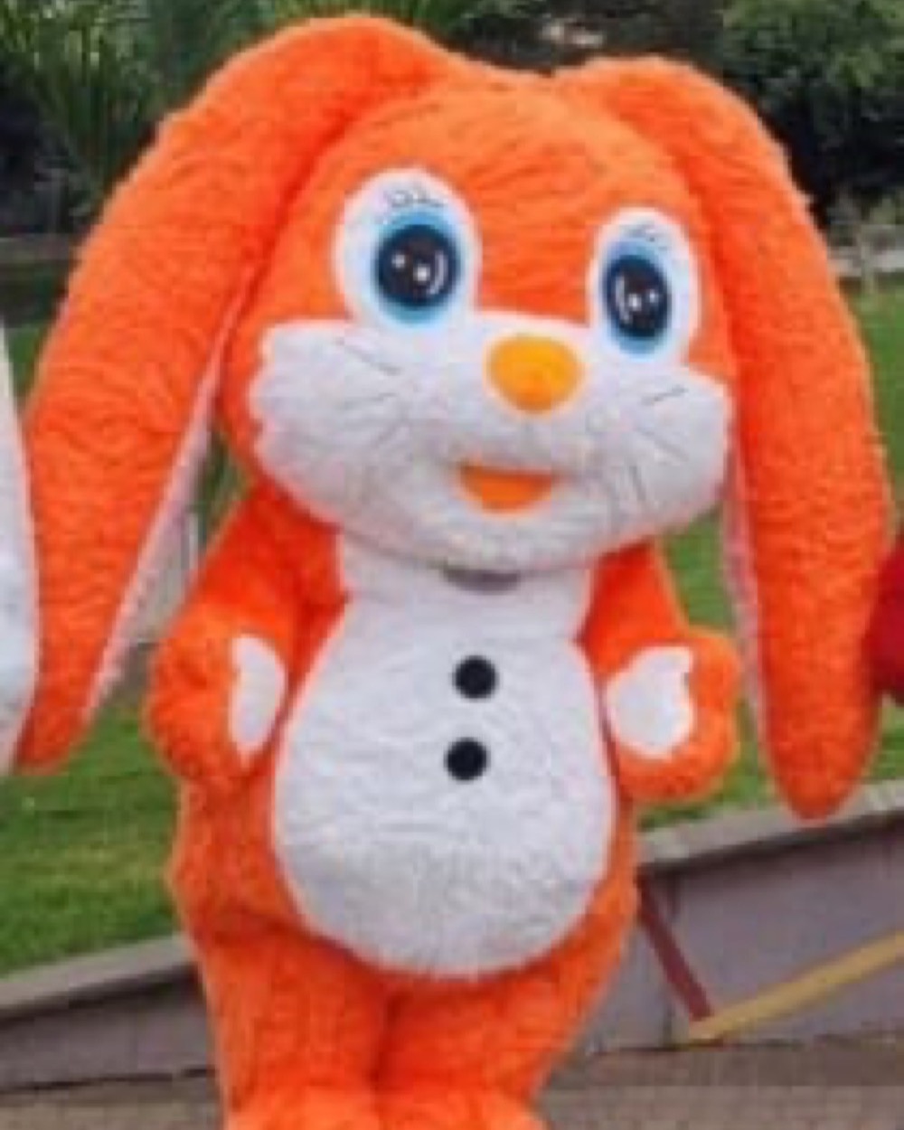 Orange Bunny