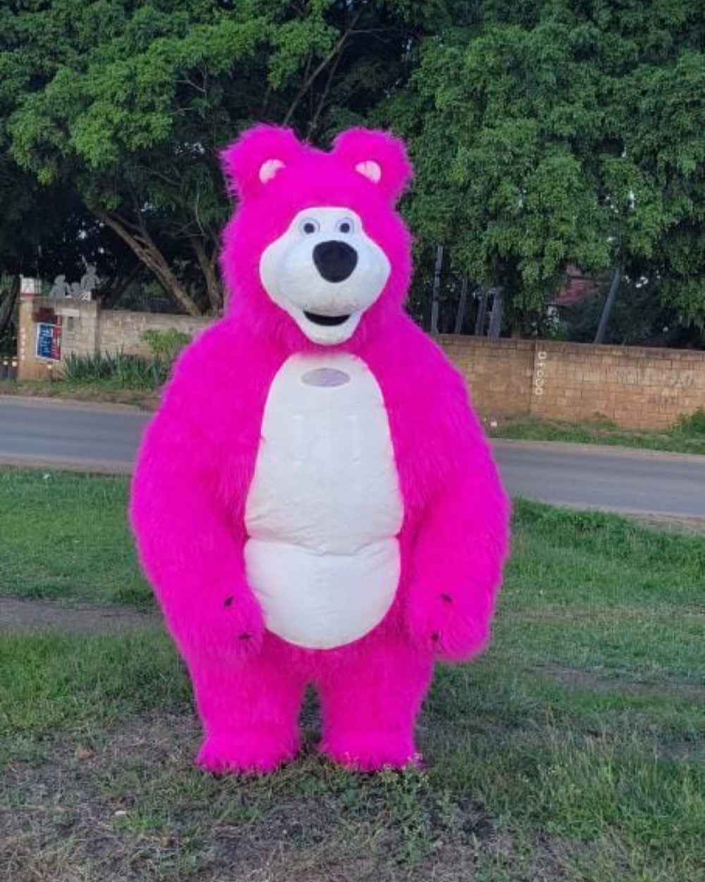 Pink Bear