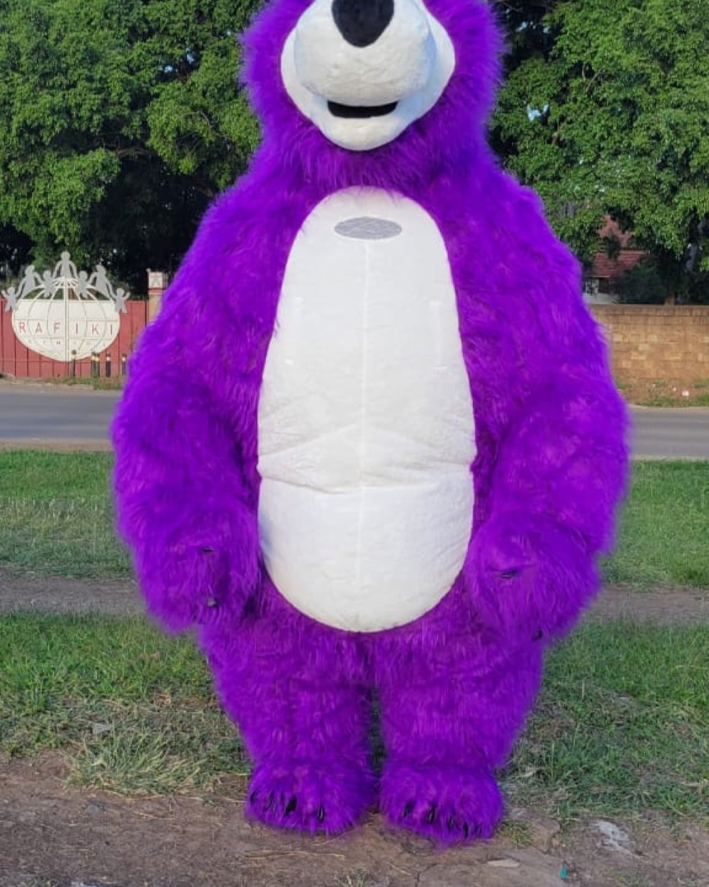 Purple Bear