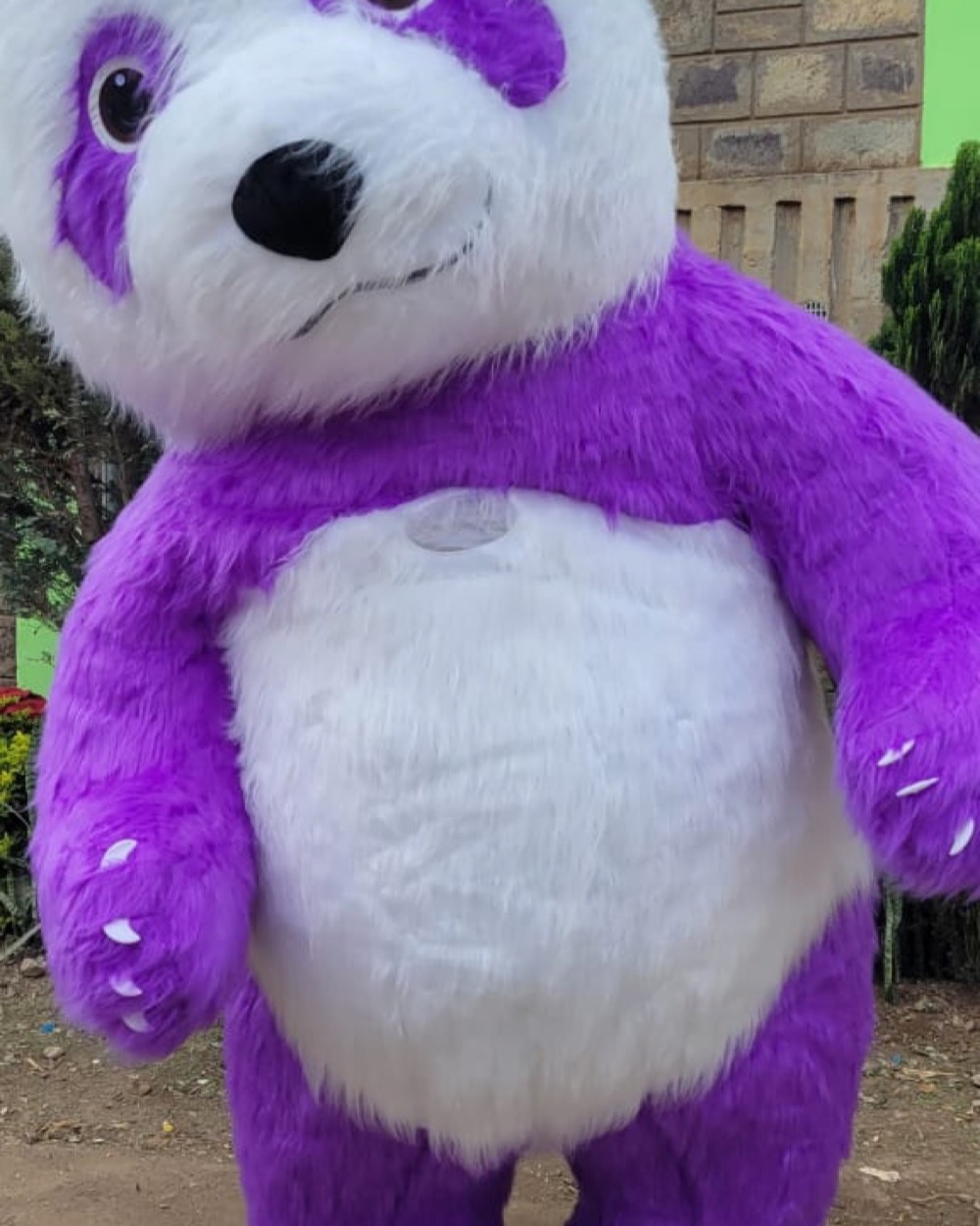 Purple Panda