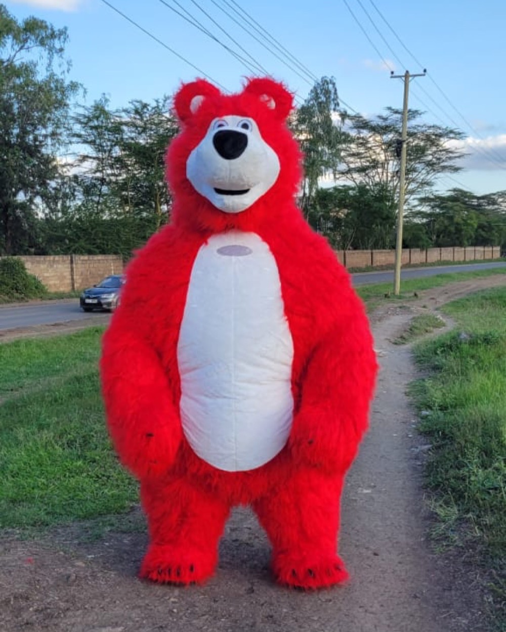 Red Bear
