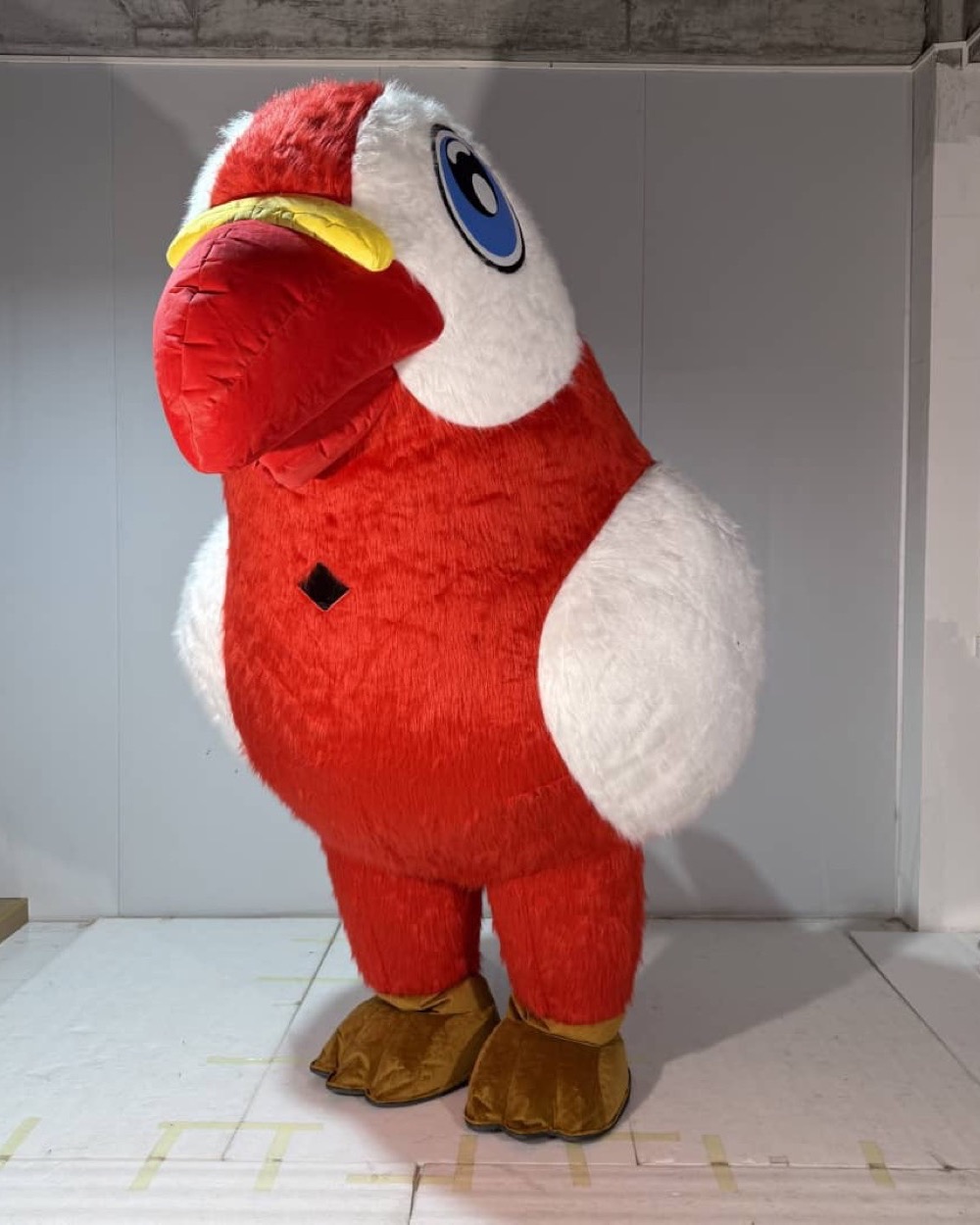 Red Bird